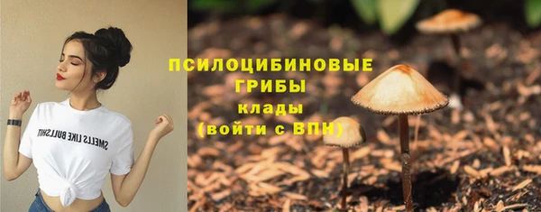 спайс Горнозаводск