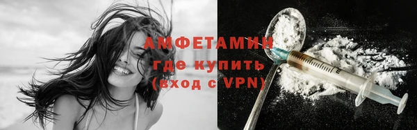 индика Гусиноозёрск