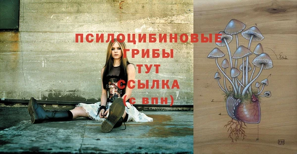 соль курить ск Горняк