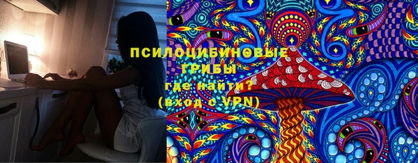 соль курить ск Горняк