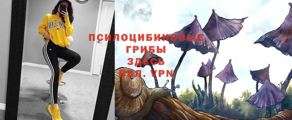 соль курить ск Горняк
