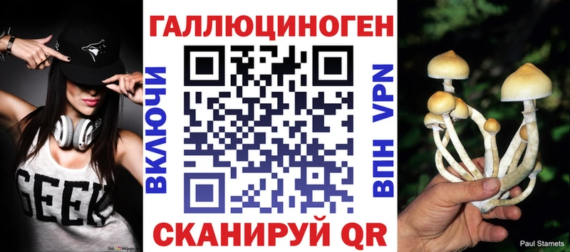 Купить закладки  Нижнекамск  Галлюциногенные грибы Magic Shrooms 